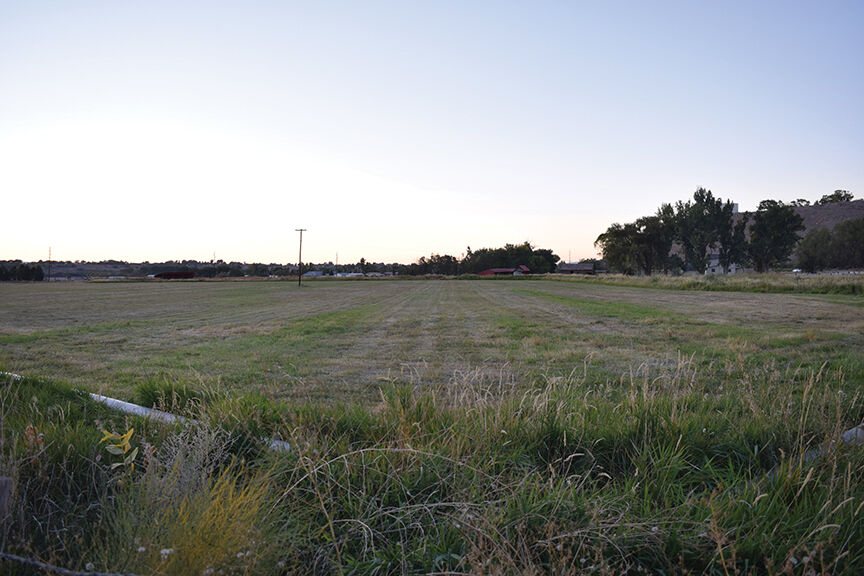 Public sentiment regarding the 1890 Homestead Project remains mixed